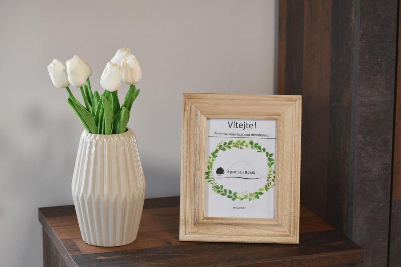 Apartmán Růžák Ruzova Kültér fotó