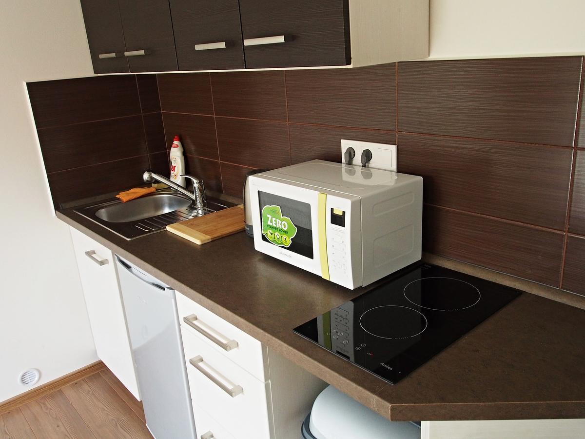 Apartmán Růžák Ruzova Kültér fotó